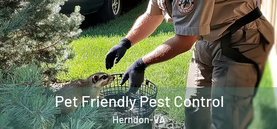  Pet Friendly Pest Control Herndon-VA
