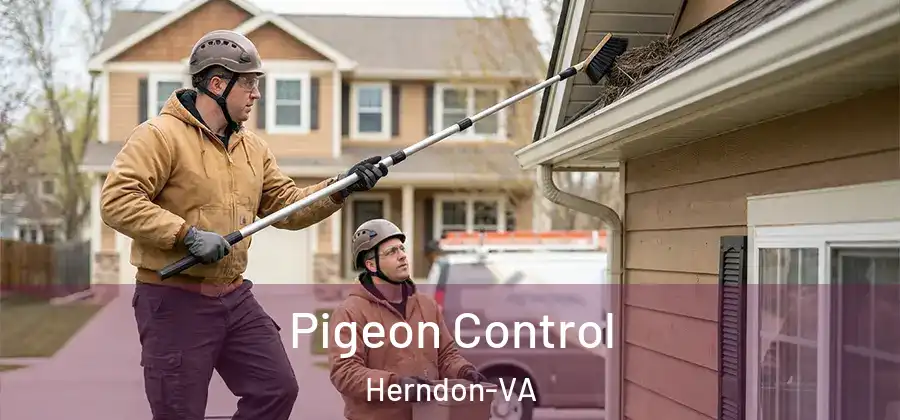  Pigeon Control Herndon-VA