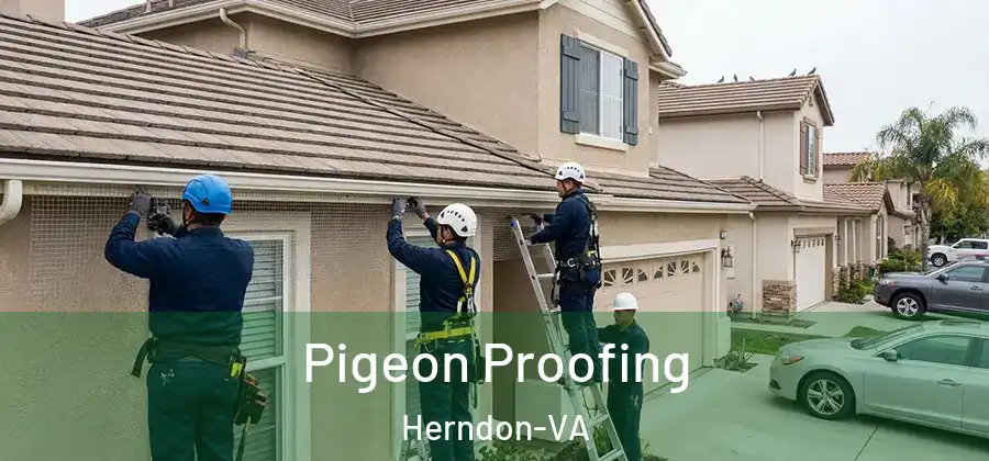 Pigeon Proofing Herndon-VA