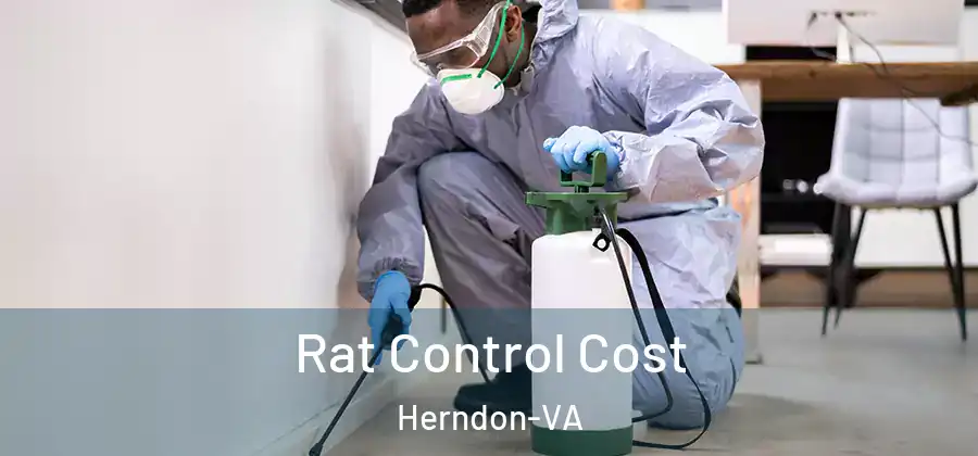 Rat Control Cost Herndon-VA