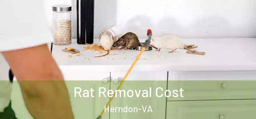  Rat Removal Cost Herndon-VA