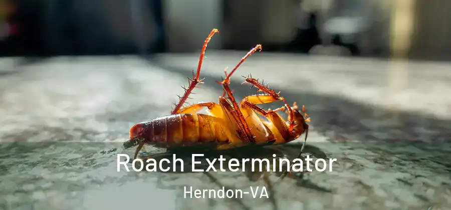 Roach Exterminator Herndon-VA