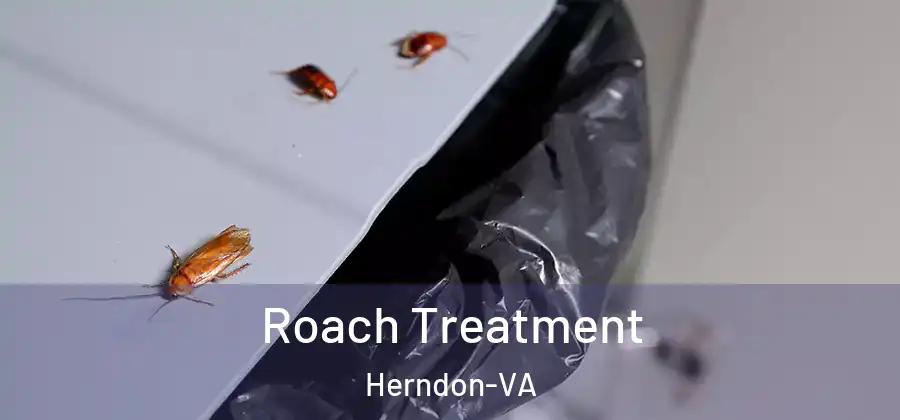  Roach Treatment Herndon-VA