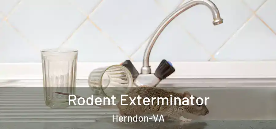  Rodent Exterminator Herndon-VA