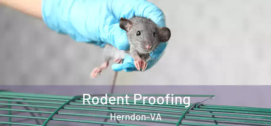  Rodent Proofing Herndon-VA