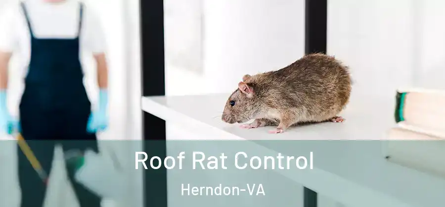  Roof Rat Control Herndon-VA