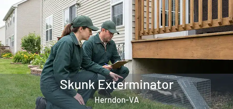  Skunk Exterminator Herndon-VA