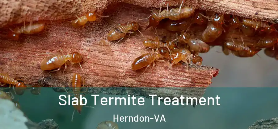  Slab Termite Treatment Herndon-VA