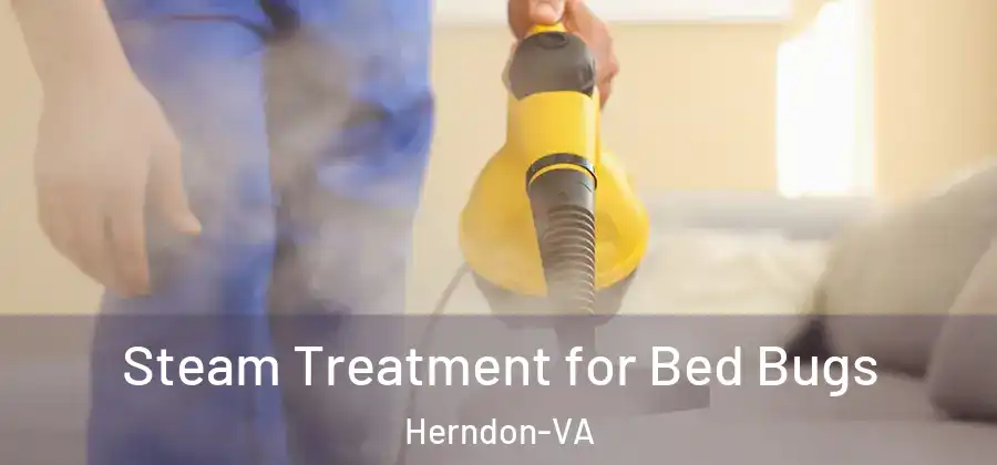 Steam Treatment for Bed Bugs Herndon-VA