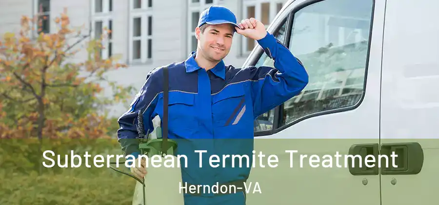  Subterranean Termite Treatment Herndon-VA