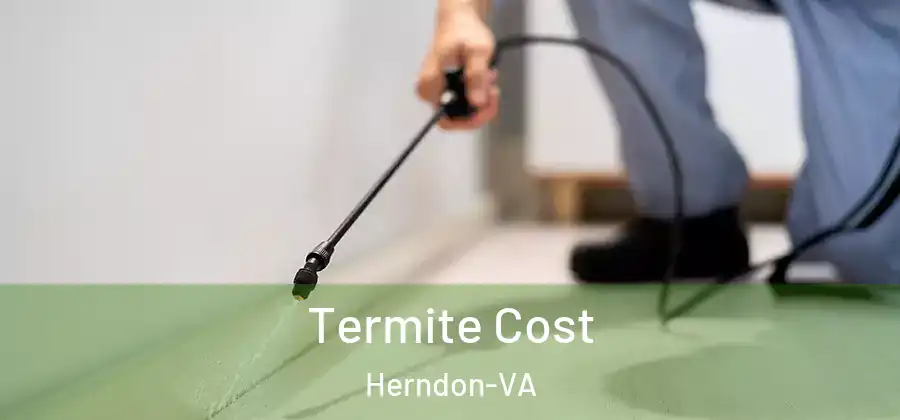  Termite Cost Herndon-VA