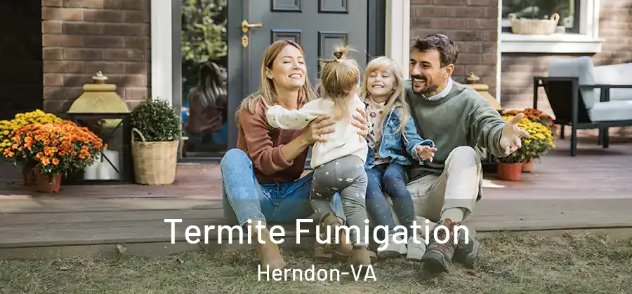  Termite Fumigation Herndon-VA