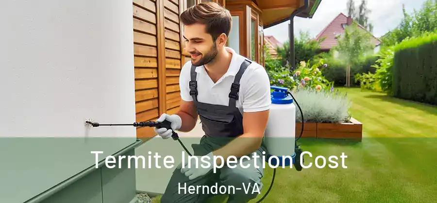  Termite Inspection Cost Herndon-VA