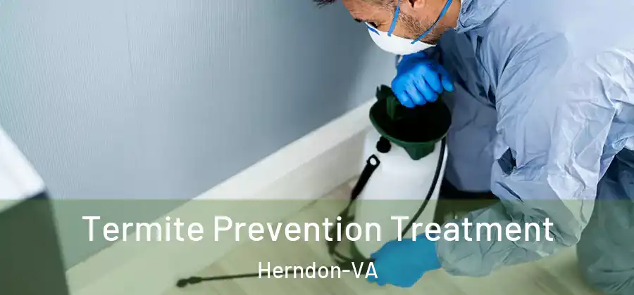  Termite Prevention Treatment Herndon-VA