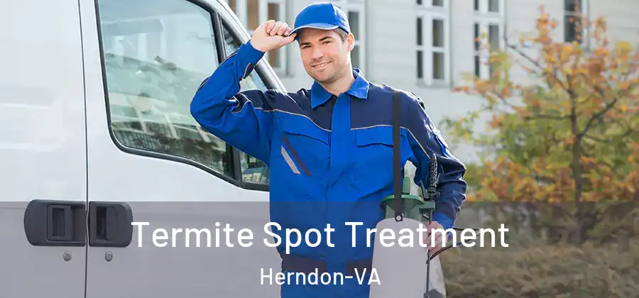  Termite Spot Treatment Herndon-VA