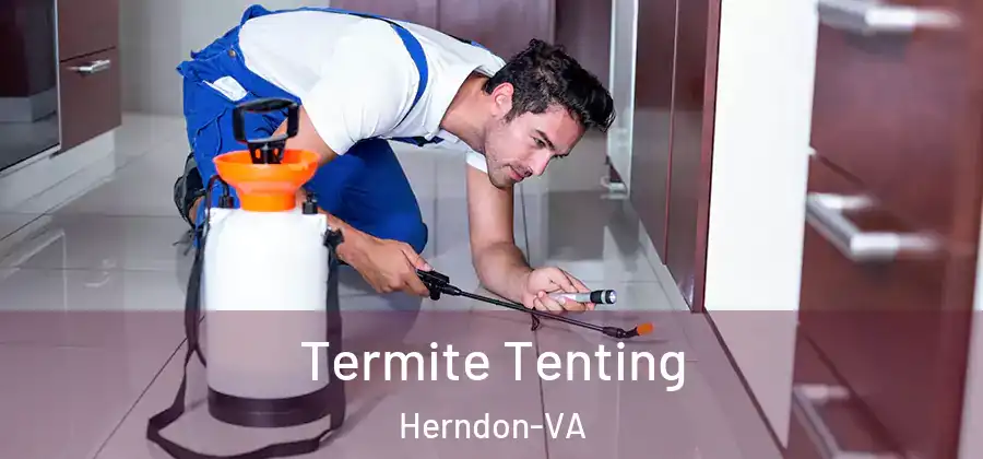  Termite Tenting Herndon-VA