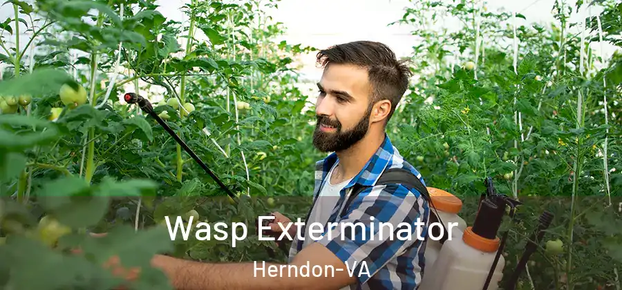  Wasp Exterminator Herndon-VA