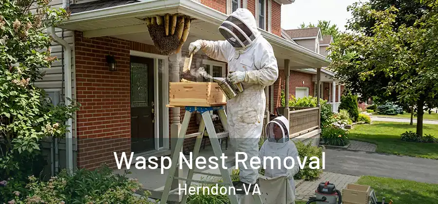 Wasp Nest Removal Herndon-VA
