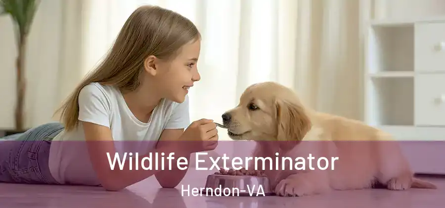  Wildlife Exterminator Herndon-VA