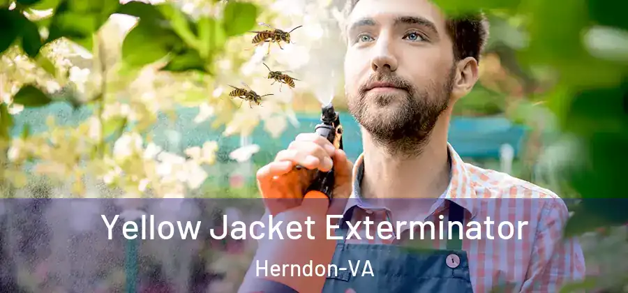  Yellow Jacket Exterminator Herndon-VA
